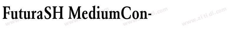 FuturaSH MediumCon字体转换